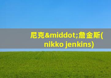 尼克·詹金斯(nikko jenkins)